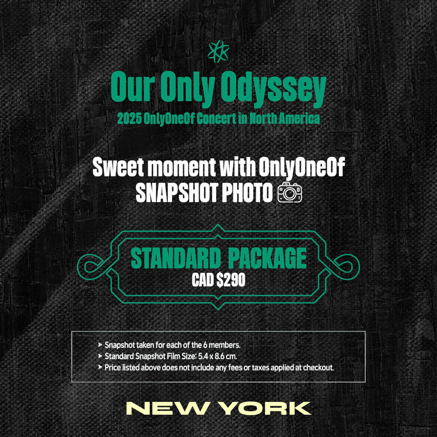 OnlyOneOf NEW YORK SNAPSHOT-STANDARD PACKAGE